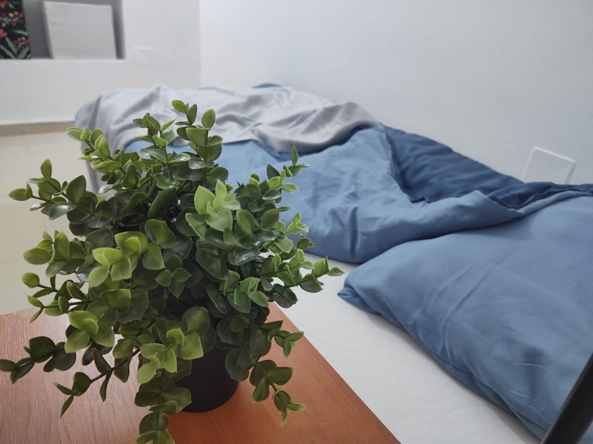 Central Retreat- Apartment Universitate 布加勒斯特 外观 照片