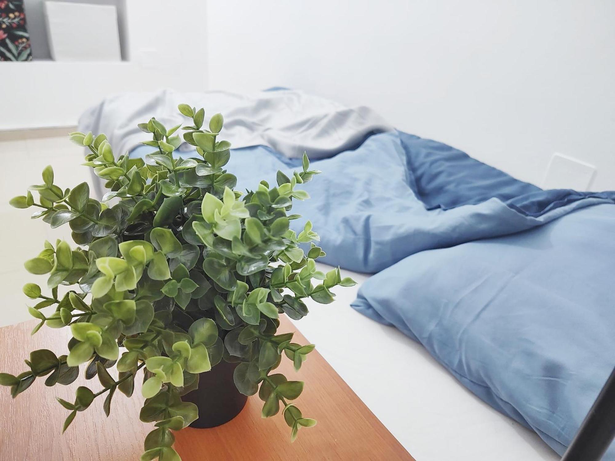 Central Retreat- Apartment Universitate 布加勒斯特 外观 照片